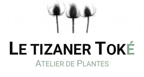 Le Tizaner Toké